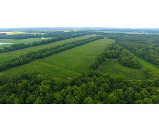 TRACT 17 - ILLINOIS LAND AUCTION - 4,810+/- ACRES OFFERED IN 85 TRACTS IN FRANKLIN, WILLIAMSON, HAMILTON & SALINE COUNTIES, ILLINOIS